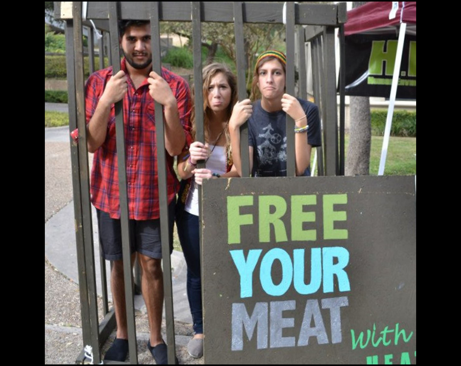 Students in cage